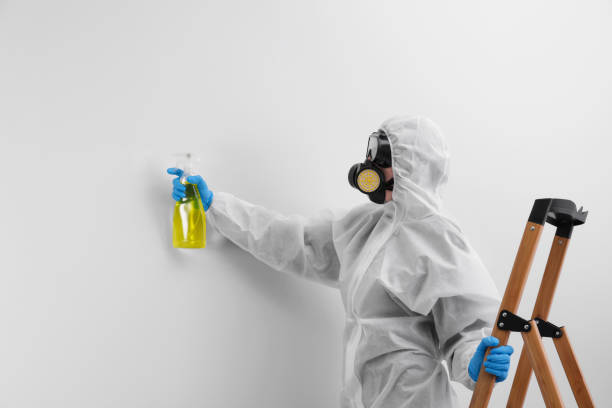 Best Commercial Mold Inspection in Isle Of Hope, GA