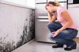 Best Forensic Mold Investigation in Isle Of Hope, GA