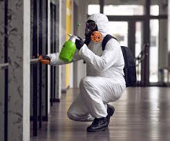 Best Asbestos and Lead Testing During Mold Inspection in Isle Of Hope, GA